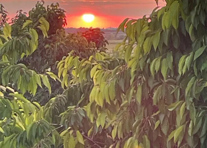 Bed & Breakfast Avec Vue Sur Le Marais Et La Piscine